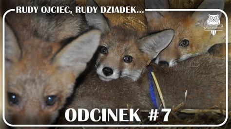 rudy ojciec ruda matka|Rudy ojciec, rudy dziadek...